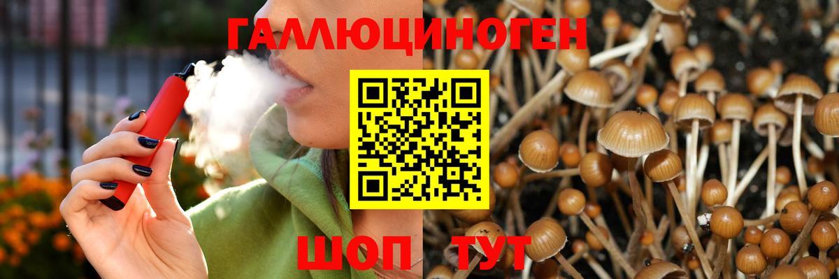 Коммунар  Галлюциногенные грибы мухоморы  Вход с VPN 